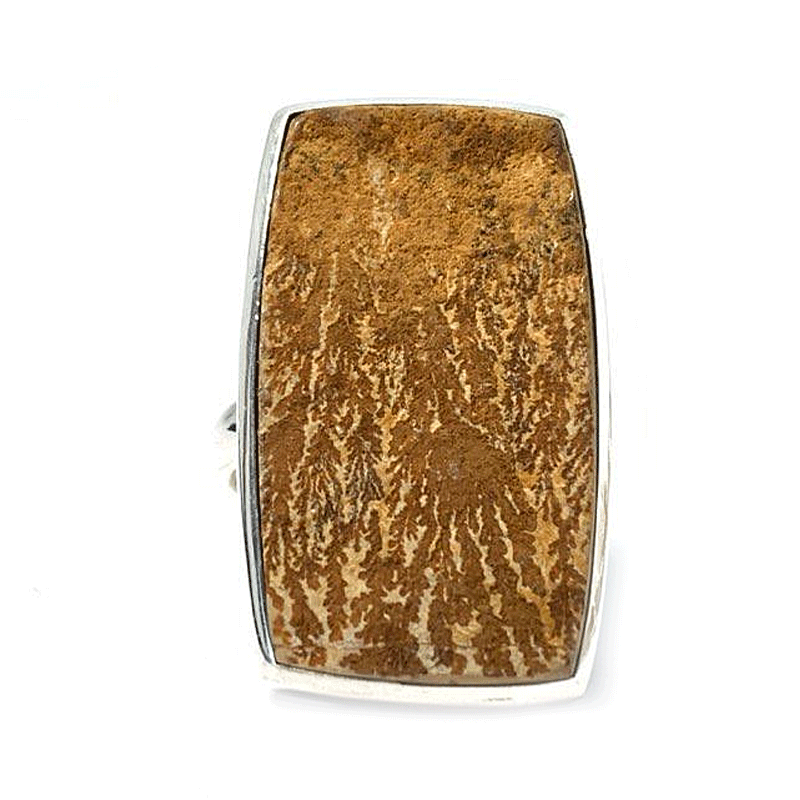 rectangle silver leaf jasper gemstone ring