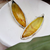 amber earrings set in sterling silver