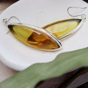 amber earrings set in sterling silver