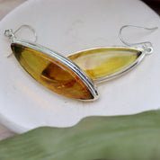 amber earrings set in sterling silver