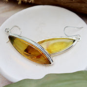 amber earrings set in sterling silver