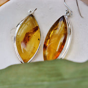 amber earrings set in sterling silver