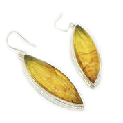 amber earrings set in sterling silver