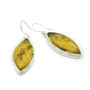 amber earrings set in sterling silver